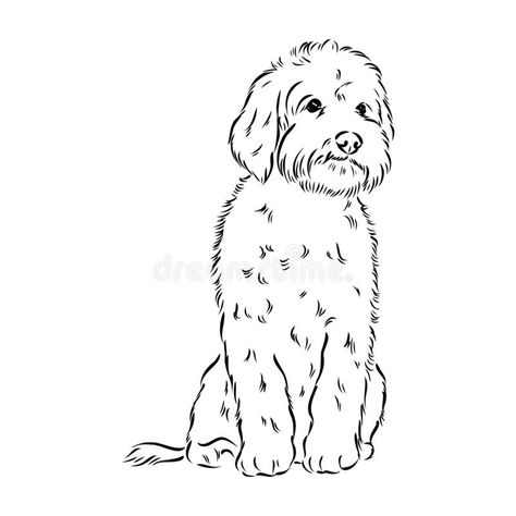 How To Draw A Labradoodle, Labradoodle Drawing Simple, Aussiedoodle Drawing, Goldendoodle Illustration, Golden Doodle Drawing, Labradoodle Tattoo, Labradoodle Drawing, Outline Procreate, Schnoodle Dog