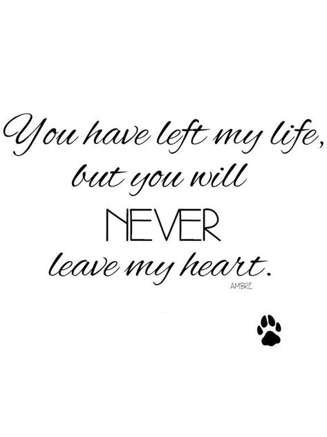 Losing A Dog Quotes, Losing A Pet Quotes, Dog Heaven Quotes, Tattoo Artist Tattoo, Dog Poems, Timeless Tattoo, Lost Quotes, Dog Quotes Love, Heaven Quotes