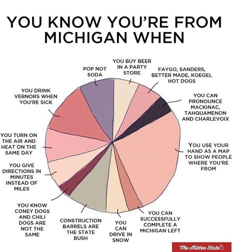 You Know You're From Michigan When Michigan Accent, Michigan Girl, My Hood, Michigan Travel, State Of Michigan, West Michigan, Upper Peninsula, Pure Michigan, Northern Michigan