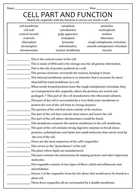 Discover the fascinating world of cells and their organelles! Dive into this informative worksheet and learn more. #science #biology #education #cellbiology #organelles #science #cellstheirorganelles Cell Structure And Function Notes, Organelles And Their Functions, Cell Parts And Functions, Cell Biology Notes, Superstar Worksheets, Biology College, Learn Biology, Cells Worksheet, Cell Function