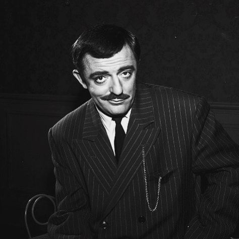 John Astin, Gomez Addams, Horror Icons, Family Values, Addams Family, You Rock, Still Image, Horror Movie, Movie Tv