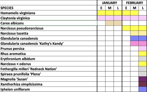 Creating a Bloom Calendar for Better Planting Design | Meristem Bloom Calendar, Planting Design, Header Image, Yard Work, Plant Design, Planting, Fruit, Plants, Design