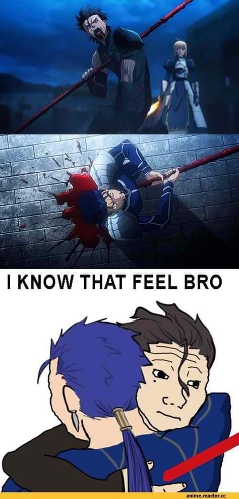 Fate Zero Memes, Fate Funny, Deadpool Artwork, Fate Archer, Shirou Emiya, Fate Stay Night Series, Monster Musume, Fate Stay Night Anime, Fate Anime Series