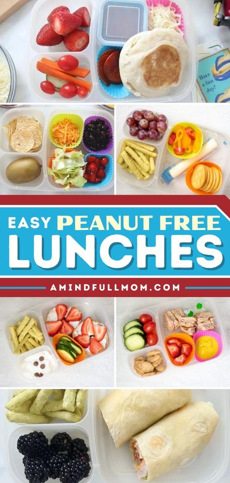 Take the stress out of packing with these nut-free lunch ideas! Your child will love this collection of easy back to school recipes that are wholesome and delicious. Plus, these peanut free lunches for kids are also great for adults! Nut Free Lunch Ideas For Kids, Sack Lunch Ideas For Kids Field Trip, Peanut Free Lunches For Kids, Sack Lunch Ideas For Kids, Nut Free Lunches For Kids, Nut Free Kids Lunch, Cold Lunch Ideas For Kids, Camp Lunch, Cold School Lunches