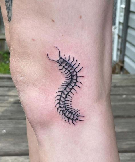 A simple centipede tattoo can be impressively captivating and symbolic. Centipedes, with their many legs and segmented bodies, symbolize flexibility and adaptability. Millipede Illustration, Millipede Tattoo, Insects Tattoo, Centipede Tattoo, 16 Tattoo, Tattoo Filler, Bug Tattoo, Insect Tattoo, Sick Tattoo