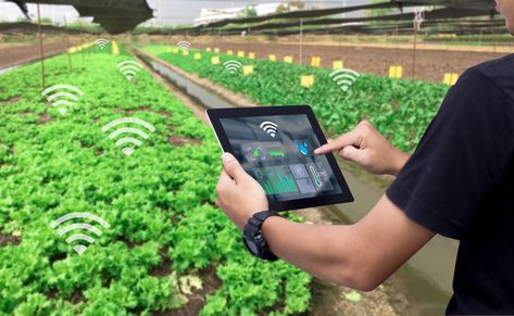 Agriculture Education Activities, Digital Learning Educational Technology, Agriculture Education Classroom, Agriculture Classroom, Technology In Agriculture, Smart Farming, Agriculture Photography, Agriculture Design, Tech Gadgets Technology