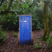 Door In Forest Aesthetic, Door In The Middle Of Nowhere, Door In The Forest, Door In The Woods, Forest Door, Forest Ideas, 90s Horror, Garden Ideas To Make, Magic Door