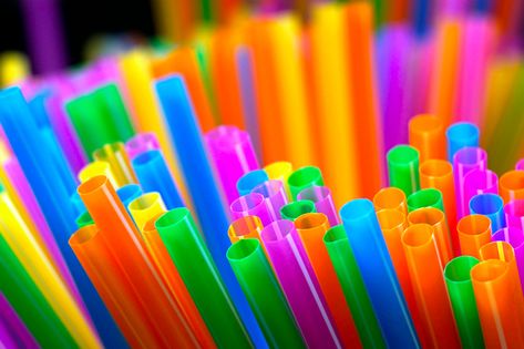 San Francisco Moves Closer to a Plastic Straw Ban - Eater SF Cleaning Stainless Steel, Food Myths, Animals Planet, Shock And Awe, Random Crafts, Planet People, Drink Stirrers, Sewing Things, Craft Decor