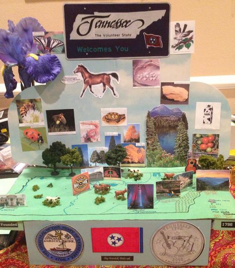 Tennessee State Diorama State Float School Project Tennessee, Shoebox State Float School Projects, Montana State Float Project, State Float School Project California, Geography Display, State Projects For Kids 5th Grades, State Report Projects, Shoebox Float, Adam Project