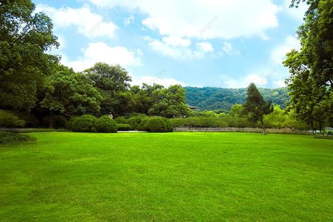 Fondo Cielo Azul Y Pasto Verde Pasto Natural, Areas Verdes, Green Grass, Blue Sky, Flamingo, Barcelona, Geek Stuff, Nike, Green