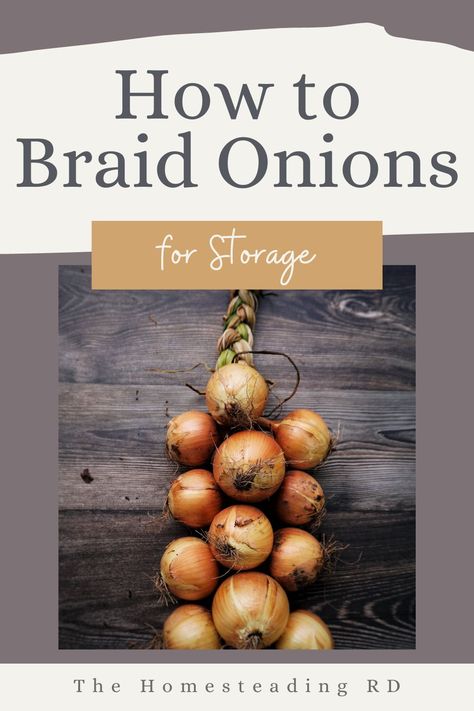 Learning how to braid onions is fun, easy and very functional! Braiding them allows for great airflow (reducing the risk of them rotting or getting moldy) and they are easy to hang for long-term storage. No need for storage bins! #braidonions #onionbraids #braidingonions #howtobraidonions #onionstorage #storingonions #onioncuring How To Hang Onions For Storage, How To Dry Onions For Storage, How To Braid Onions For Storage, Braiding Onions For Storage, Drying Onions For Storage, Onion Braiding, How To Store Onions Long Term, Braided Onions, How To Store Onions