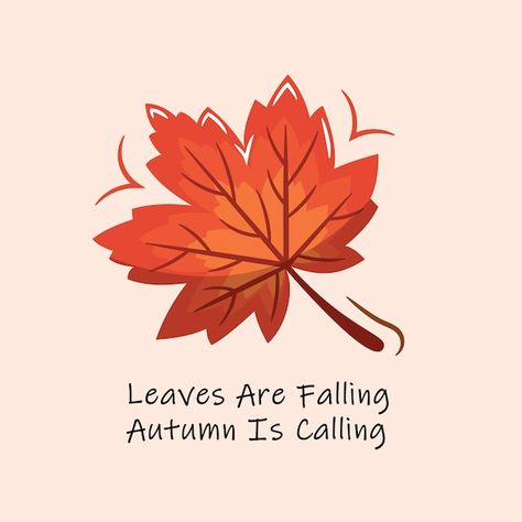 Vector leaves are falling autumn is call... | Premium Vector #Freepik #vector #maple-leaf #maple #red-leaf #november Maple Leaf Quotes, Maple Leaves Art, Maple Leaves Illustration, Fall Leaf Illustration, Maple Leaves Aesthetic, Maple Leaf Doodle, Fall Leaves Doodle, Maple Leaves Drawing, Falling Leaves Drawing