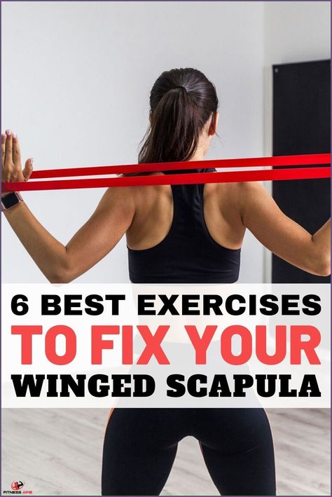 Workout with back pain. Scapula Exercises Strength, Scapula Strengthening Exercises, Rhomboids Exercises, Scapular Strengthening Exercises, Shoulder Health Exercise, Scapula Winging Exercises, Winged Shoulder Blades, Shoulder Recovery Exercises, Shoulder Pt Exercises