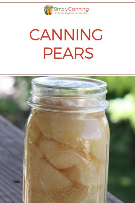 Canning pears is the perfect way to preserve your harvest! Garden Preservation, Homestead Tips, Canning Pears, Pear Butter, Canned Pears, Canning Fruit, Pear Jam, Canning Vegetables, Canning Food