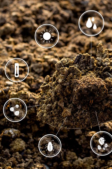 soil health, sustainable farming, composting, yardener tips Fertilizer Product Photography, Farming Ideas Agriculture, Agriculture Aesthetic, Seed Planting Guide, Agriculture Pictures, Importance Of Agriculture, Pasture Management, Agriculture Photography, Agriculture Design