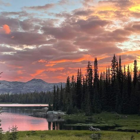 Idaho Aesthetic Wallpaper, Idaho Pictures, Idaho Photography, Spirit Lake Idaho, Red Fish Lake Idaho, Red Fish, Landscape Pictures, Idaho, Natural Landmarks