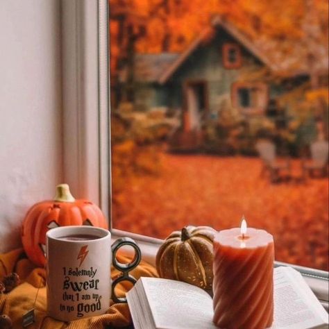 46 days until the ber months 🍂🎃🧣❄️☃️🎄🎅 #bermonths #September #october #november #december #fall #autumn #halloween #thanksgiving #winter #Christmas #newyears Christmas Shirt Ideas Funny, How To Hang Garland On Mantel, Thanksgiving Napkin Folds, Christmas Garland Mantle, Spooky World, Christmas Shirt Ideas, Breakfast Table Setting, Fireplace Garland, Thanksgiving Background