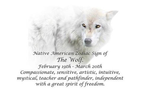 Native American Zodiac Wolf, Animal Totem Spirit Guides, Infp Enneagram, Native American Zodiac, Infp Woman, American Indian Quotes, Wolves Art, Wolf Art Print, Pisces Traits