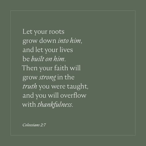 "Let your roots grow down into him, and let your lives be built on him. Then your faith will grow strong in the truth you were taught, and you will overflow with thankfulness." Colossians 2:7, NLT #NewLivingTranslation #NLTBible #Bibleverse #Bibleverses #Biblestory #Biblestories #Bibleversesdaily #Bibleversedaily #Biblequote365 #Biblewords #Bibledaily #Bibleverseoftheday #BibleScriptures #Bibleinspiration #Christianinspiration #Biblesays #dailyBible #dailyBibleverse #dailyBiblereading ⁠ Let Your Roots Grow Down Into Him, Rooted Bible Verse, Letterboard Scripture, Scripture About Growing In Faith, Growing Bible Verse, Rooted In Faith, Colossians 2:7, Contentment Bible Verse, Bible Verse About Growth