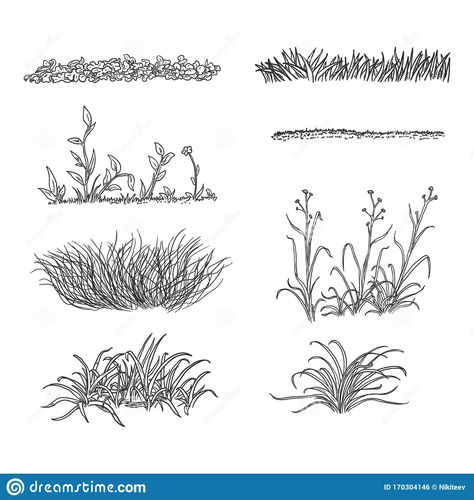 Bush Drawing, Forest Sketch, Grass Silhouette, White Backround, Grass Drawing, Plant Sketches, Plants Illustration, Landscape Design Drawings, Section Drawing