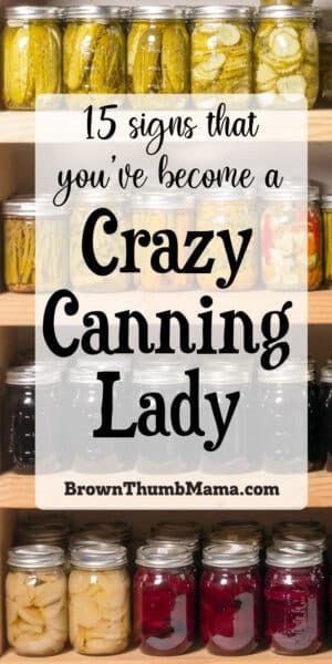 Are you crazy about canning? Have more Ball jars than you could possibly count? Then you're probably a crazy canning lady. Here's a quick checklist to help you determine if your canning obsession has gone too far. Canning Pressure Cooker, Canning Granny, Ball Canning, Vegetable Harvest, Canned Food Storage, Canning Tips, Pressure Cooker Chicken, Home Canning, Pressure Canning