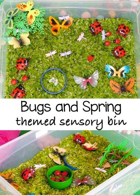 This bugs and spring themed sensory bin looks so inviting. Toddlers and preschoolers wont be able to keep their hands off these ladybugs and butterflies. Older kids will love the imaginary play that this kids activity will provide. The post also contains information on how to create one of these bins yourself with product recommendations so that you can create one just like it at home. via @funwithmama Themed Sensory Bins, Spring Sensory Bin, Preschool Bugs, Sensory Bins For Toddlers, Spring Sensory, Toddler Sensory Bins, Sensory Tubs, Bugs Preschool, Insects Theme