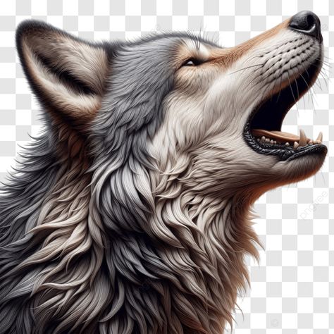 wolf howling drawing wolf howling drawing wolf howling png Wolf Howling Drawing, Howling Dog, Drawing Wolf, Wolf Png, Howling Wolf, Transparent Image, Wolf Howling, Dog Images, Png Transparent