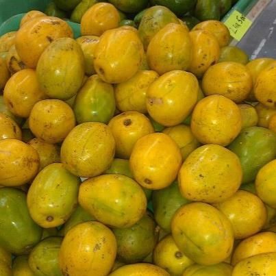 caribbean plums | june plum | My Island Caribbean Food June Plum, Trini Food, Puerto Rico Food, Strange Fruit, Jamaican Culture, Caribbean Cuisine, Puerto Rican Recipes, Sweet Tart, Island Food