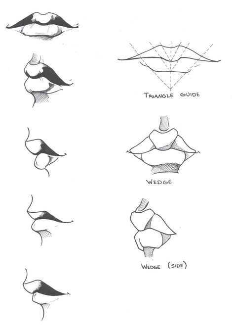 lips study Lips Study, Human Mouth, Mouth Drawing, Drawing Lesson, 얼굴 그리기, Human Drawing, Lips Drawing, Anatomy Drawing, Art Instructions