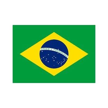 Exercícios sobre formas geométricas para o 3º ano - Ensino Fundamental Flag Of Brazil, Brazil T Shirt, Brazil Men, Brazilian Flag, Folder Cover, Feather Flags, Points Of View, Brazil Flag, Respect Others