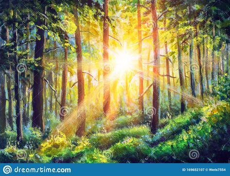 Sunrise In Forest, Forest Acrylic Painting, Sunny Forest, Sun Painting, Wood Artwork, Fabric Wall Art, Forest Painting, Sun Art, Sun Light