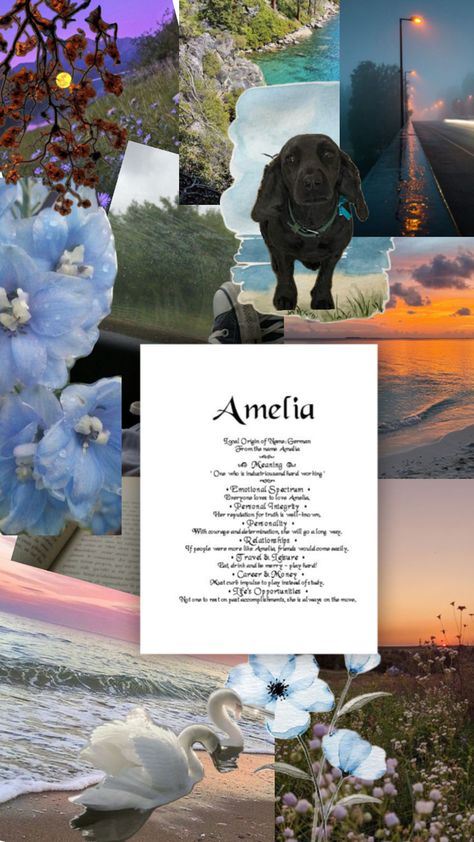 Me Amelia Core, + Core + Aesthetic, Sky Aesthetic, Travel And Leisure, Wallpapers, Flowers, Travel, Quick Saves