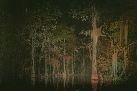 Bayou Aesthetic Dark, Lawrence Oleander Aesthetic, Midwest Horror, Southern Horror, Louisiana Gothic, Dragonbone Chair, Ivy Painting, Dnd Character Aesthetic, Swamp Aesthetic