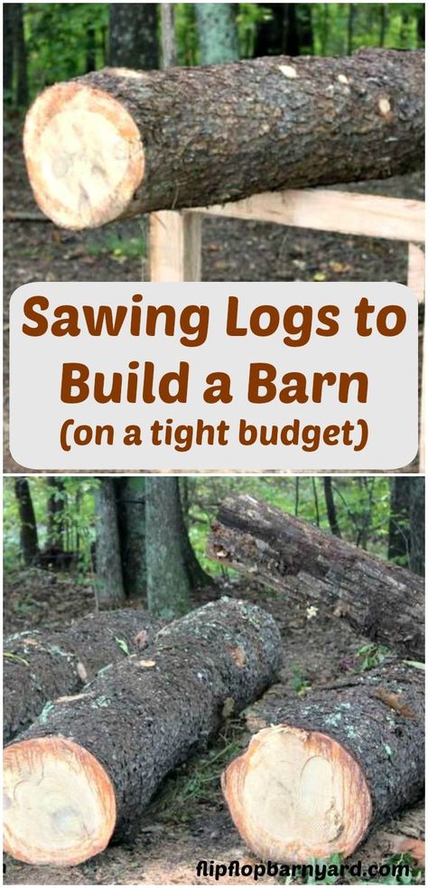 How to saw logs to build things on the homestead. We use an Alaskan chainsaw mill to saw logs. Chainsaw Projects, Alaskan Chainsaw Mill, Milling Wood, Homestead Projects, Log Shed, Off Grid Homestead, Beautiful Boards, Saw Mill, Chainsaw Mill