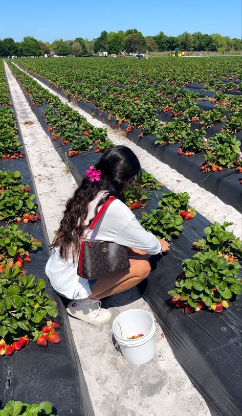 Outfits For Strawberry Picking, Cute Strawberry Picking Outfits, Strawberry Picking Outfit Aesthetic, Strawberry Picking Photoshoot, Strawberry Farm Outfit, Strawberry Farm Aesthetic, Berry Picking Aesthetic, Berry Picking Outfit, Strawberry Picking Aesthetic