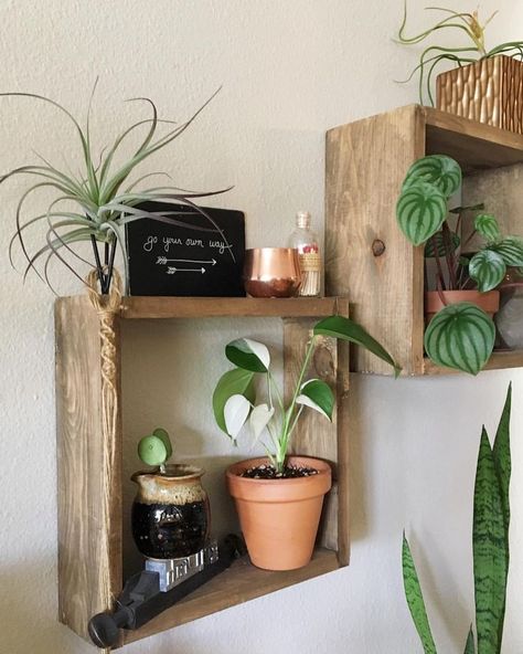 Learn how to make these Easy Box Shelves - Perfect for small houseplants - Clever Bloom Diy Box Shelves, Planty Room, Diy Shelves Easy, Easy Shelves, Plant Room, Shelving Ideas, Shelves Diy, Box Shelves, Funky Home Decor