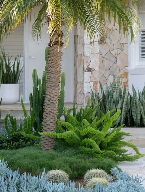 Sydney Landscape, Palm Springs Garden, Landscape Composition, Landscape Park, Nice Garden, Front Garden Design, Dry Garden, Australian Garden, Coastal Gardens