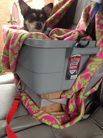 Cheap Safe Dog Car Seat : 10 Steps (with Pictures) - Instructables Small Dog Car Seat, Dog Car Booster Seat, Pet Booster Seat, Puppy Toys, Uv Tattoo, Dog Car Seat, Dog Seat, Toddler Car Seat, Booster Car Seat