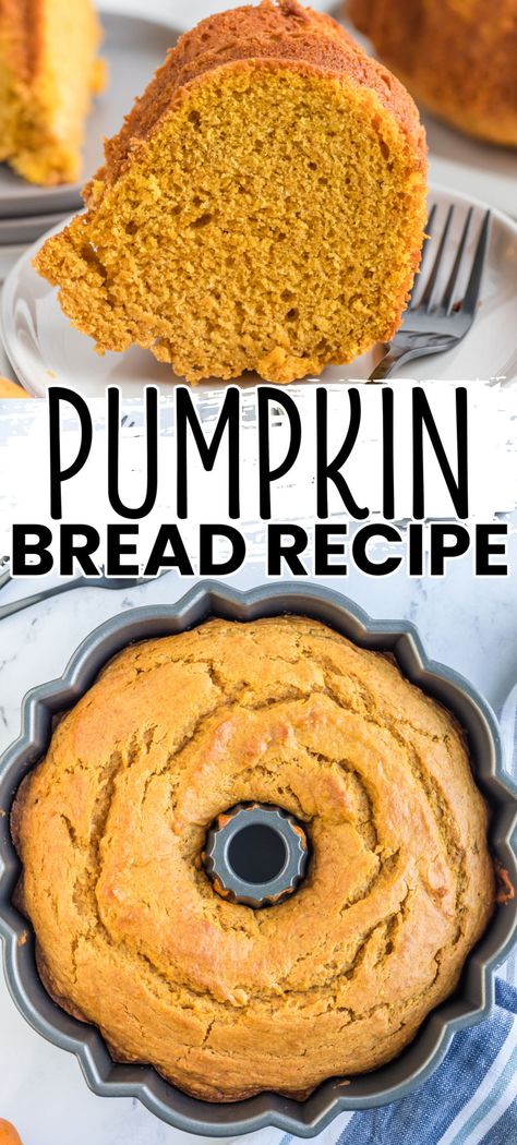 Bundt Bread, Bread Booze Bacon, Pumpkin Bundt, Pumpkin Bread Recipe, Morning Cup Of Coffee, Bundt Pan, Sweet Rolls, Sweet Roll, Fall Treats