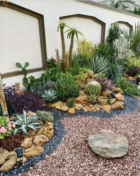 Raised Cactus Garden Bed, Xeriscape For Beginners, Plants That Grow On Rocks, No Water Backyard, Small Desert Garden Ideas, Succulent Cactus Garden, Outdoor Cactus Garden Landscaping, Florida Succulent Landscaping, Succulent Gardens Outdoor