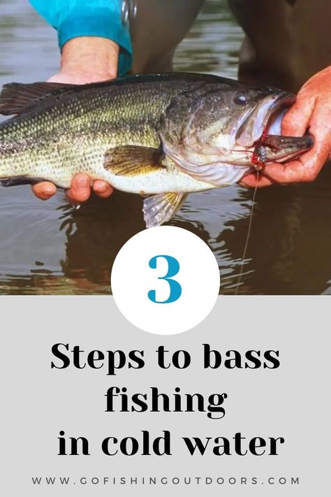 Smallmouth Bass Fishing, Fishing Basics, Trout Fishing Tips, Fly Fishing Tips, Bass Fishing Lures, Bass Fishing Tips, Bass Lures, Smallmouth Bass, Crappie Fishing