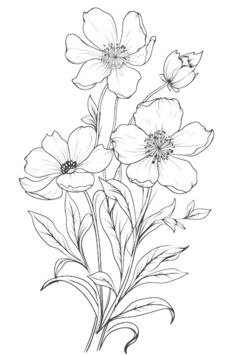 Flower Sketch Pencil, Flower Line Drawing, Drawing Pictures, Flower Line Drawings, Flower Drawing Tutorials, Watercolor Flowers Tutorial, Flower Bunch, Flower Art Drawing, Cool Pencil Drawings