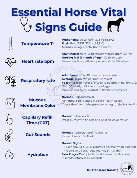 Understanding your horse’s vital signs is crucial for ensuring their health and well-being. Whether you're a seasoned horse owner, a veterinary professional, or a new equestrian enthusiast, this guide is designed to be your go-to resource for accurately monitoring and interpreting your horse's vital signs. First Time Horse Owner Checklist, Horse Terminology, Livestock Veterinarian, Equestrian Hacks, Horse Hacks, Vet Tech School, Vet Tech Student, Vet Life, Veterinary Studies