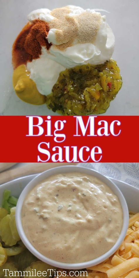 Sauce For Burgers, Special Sauce Recipe, Mcdonald's Big Mac, Homemade Big Mac Sauce, Hamburger Sauce, Secret Sauce Recipe, Big Mac Sauce Recipe, Mac Sauce Recipe, Burger Sauces Recipe