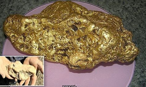 Australian man finds gold nugget worth over $250,000 in bushland Australian Man, Natural Gold Nugget, Gold Bullion Bars, Australian Gold, Australian Men, Mint Gold, Gold Bullion, Gold Mining, Gold Nugget