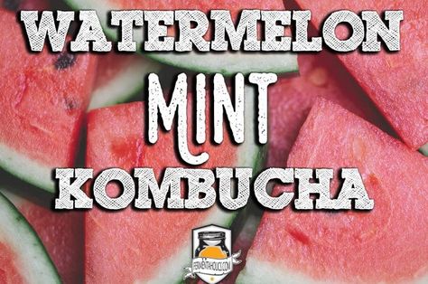 Watermelon Kombucha, Fermented Beverages, Kombucha Recipes, Spicy Watermelon, Watermelon Syrup, Kombucha Starter, Kombucha Flavors, Homemade Kombucha, Kombucha Recipe