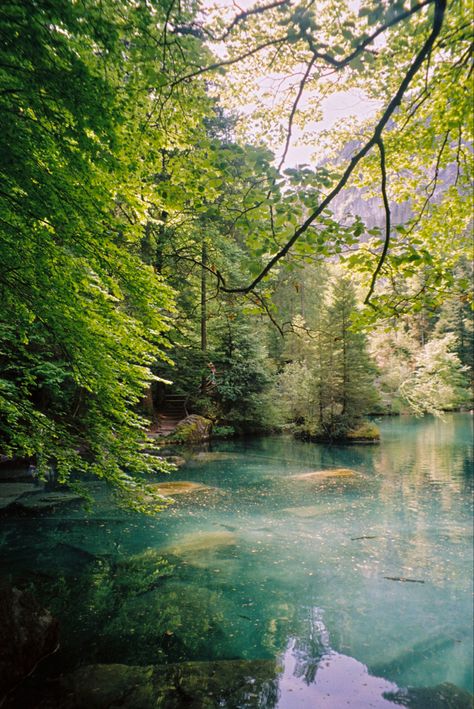 Switzerland Nature Wallpaper, Blausee Switzerland, Switzerland Nature Landscapes, Switzerland Blausee, Schwyz Switzerland, Ethereal Nature, 35mm Film, Switzerland, Lilac