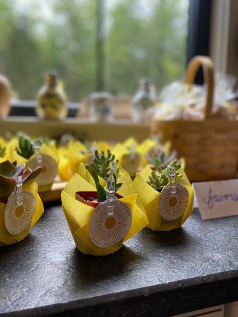 Party favors for baby shower, assortment of baby succulents wrapped in cupcake wrapper with themed label attached with a clear clothspin Here Comes The Son Baby Shower Favors, Seeds Party Favor, Succulents Favors, Here Comes The Son, Baby Succulents, Succulent Favors, Cupcake Wrapper, Baby Shower Party Favors, Cupcake Wrappers