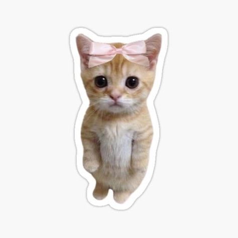 Pink Cat Sticker, Coquette Stickers Png, Cat Aesthetic Sticker, Aesthetic Cat Stickers, Cute Cat Stickers Printable, Cat Stickers Aesthetic, Pink Aesthetic Stickers, Stikers Aesthetic, Coquette Stickers