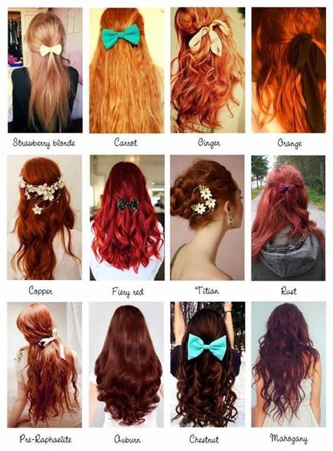 All different types of red color hair Red Hair Color Chart, Hair Color Names, Shades Of Red Hair, Natural Red Hair, Hair Color Chart, Types Of Hair, Hair Shades, Red Hair Color, Strawberry Blonde